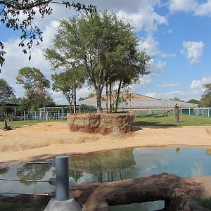 New Elephant Habitat