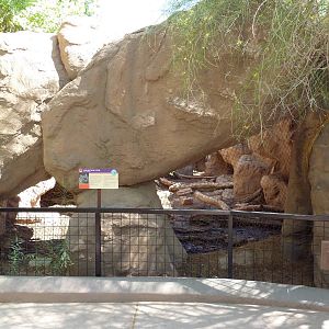 Arizona Trail - Cougar Exhibit