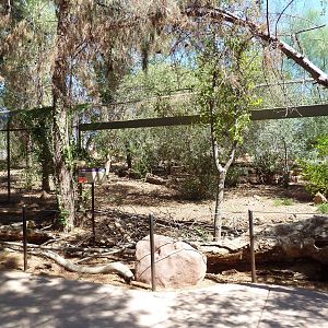 Arizona Trail - Mexican Gray Wolf Exhibit