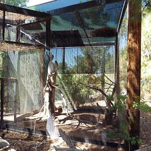 Arizona Trail - Great Horned Owl Exhibit