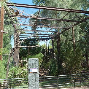 Arizona Trail - Andean Condor Exhibit