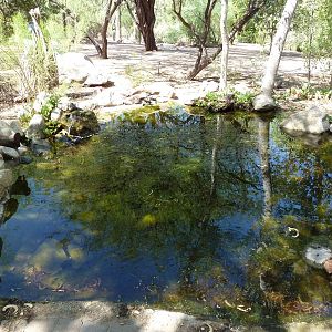 Arizona Trail - Desert Pupfish Pool