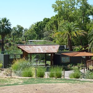 Komodo Dragon Complex