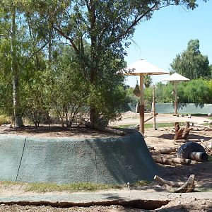 Asian Elephant Exhibit
