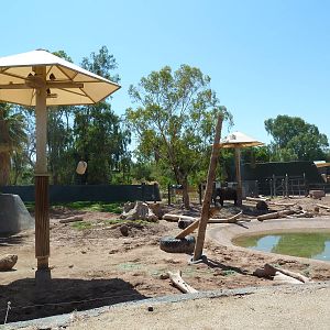 Asian Elephant Exhibit