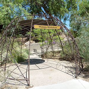 Wallaby Walkabout - Entrance Area