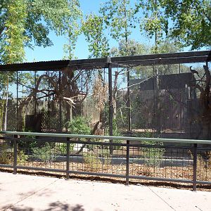 Green Oropendola/Red-Legged Seriema Exhibit