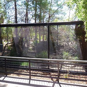 Pemba Flying Fox/Green Wood Hoopoe Exhibit