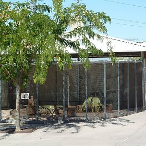 Harmony Farm - Turkey Exhibit