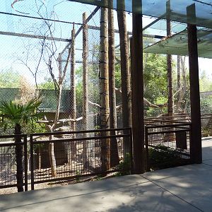Jaguar Exhibit