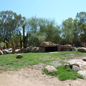 Galapagos Tortoise Exhibit