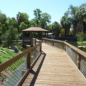 Wetlands Habitat (5 Species)