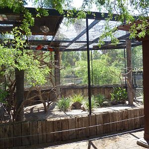 Roseate Spoonbill/Scarlet Ibis Exhibit