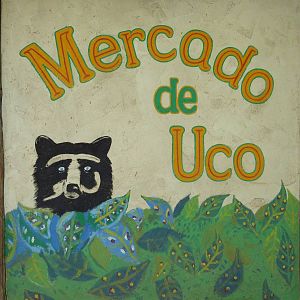 Forest Of Uco - Entrance Village Sign
