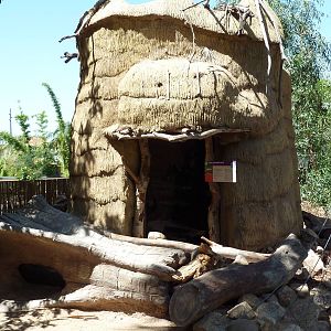 Forest Of Uco - Boa Constrictor Exhibit