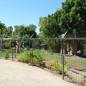 Forest of Uco - Andean Bear Exhibit