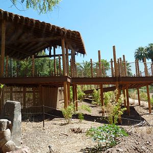 Orangutan Exhibit - Viewing Platform