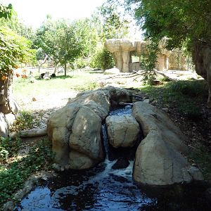 Forest of Uco - Andean Bear Exhibit