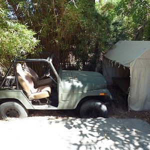 Forest of Uco - Safari Jeep + Tent