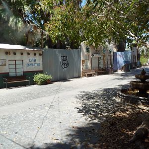 Forest of Uco - Village Entrance Area