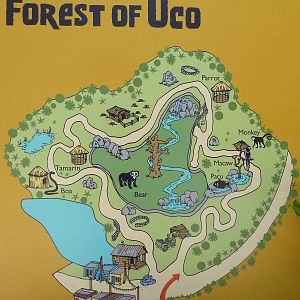 Forest Of Uco - Map