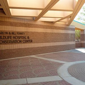 Wildlife Hospital + Conservation Center