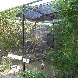 Scrub Jay/Burrowing Owl Exhibit