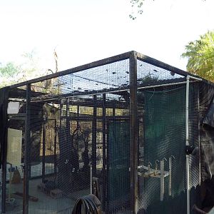 Off-Exhibit Aviaries