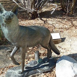 Coyote Statue