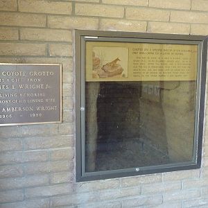 Coyote Exhibit - Den