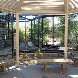 Golden Eagle Exhibit