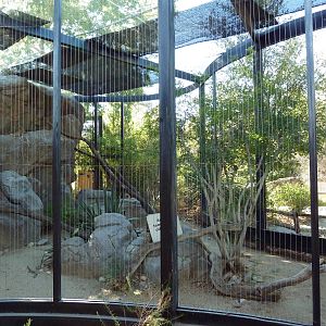 Golden Eagle Exhibit