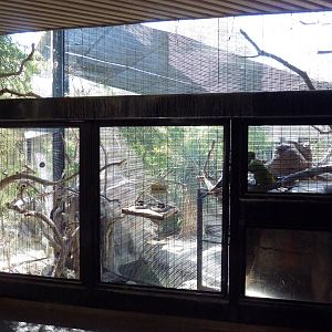 Mexican Military Macaw Exhibit