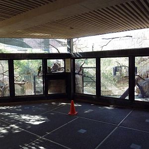 Thick-Billed Parrot + Mexican Military Macaw Exhibits