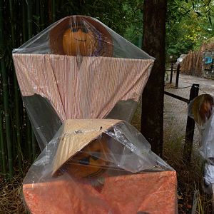 Asian Trail Scarecrows