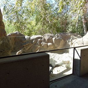 Badger Exhibit