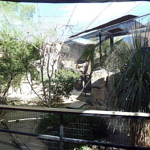 Walk-Through Aviary