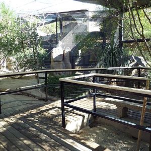 Walk-Through Aviary