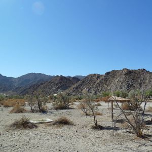 Peninsular Pronghorn Exhibit
