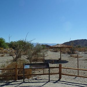 Peninsular Pronghorn Exhibit