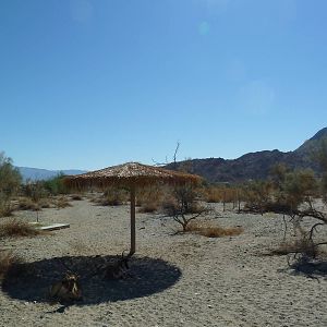 Peninsular Pronghorn Exhibit