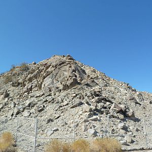 Desert Bighorn Sheep Exhibit