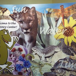 Discovery Center - Collage