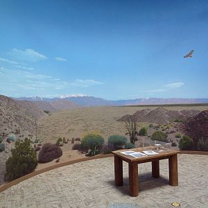 Discovery Center - Mural