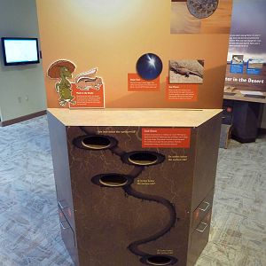 Discovery Center