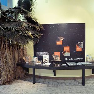 Discovery Center
