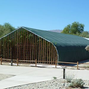 Hummingbirds + Butterflies