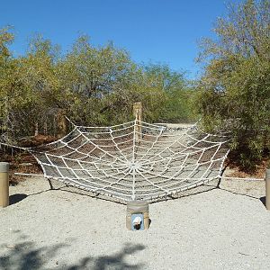 Gecko Gulch - Play Area