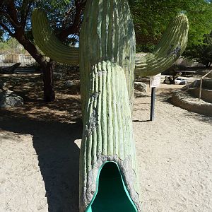 Gecko Gulch - Play Area