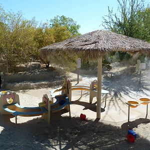 Gecko Gulch - Play Area